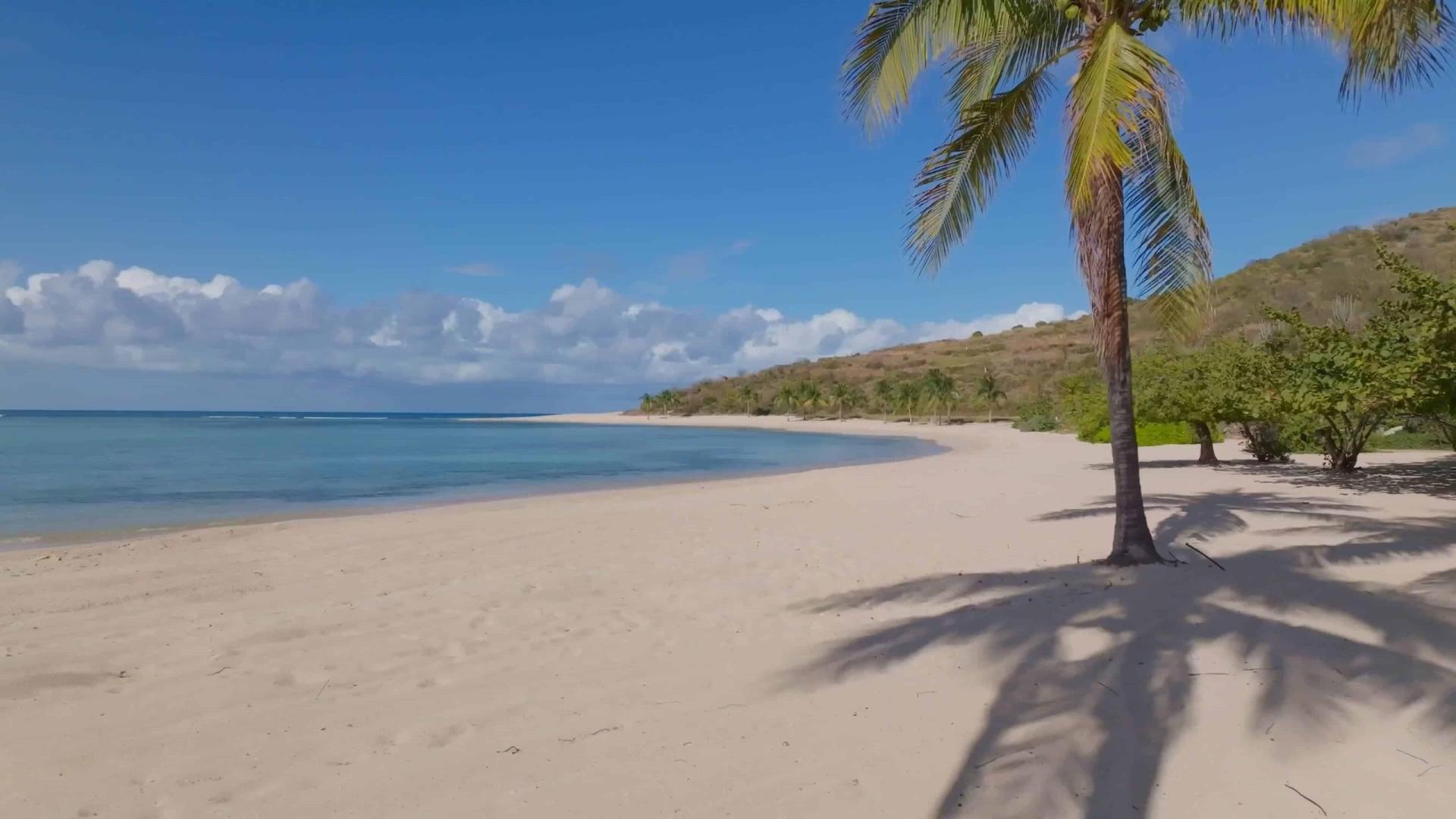 08-the-beach.jpg