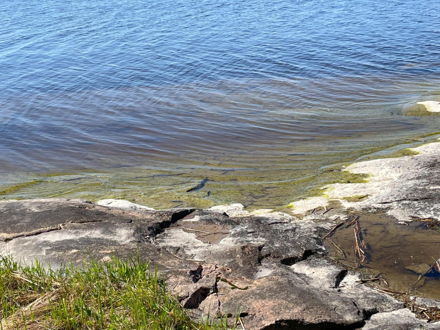 Lake Nipissing Island – Private island in Northern Ontario, Ontario, Canada