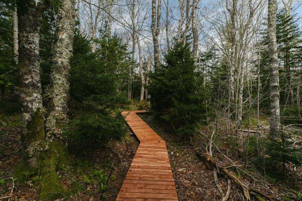 Maple Island – Private island in Nova Scotia, Canada