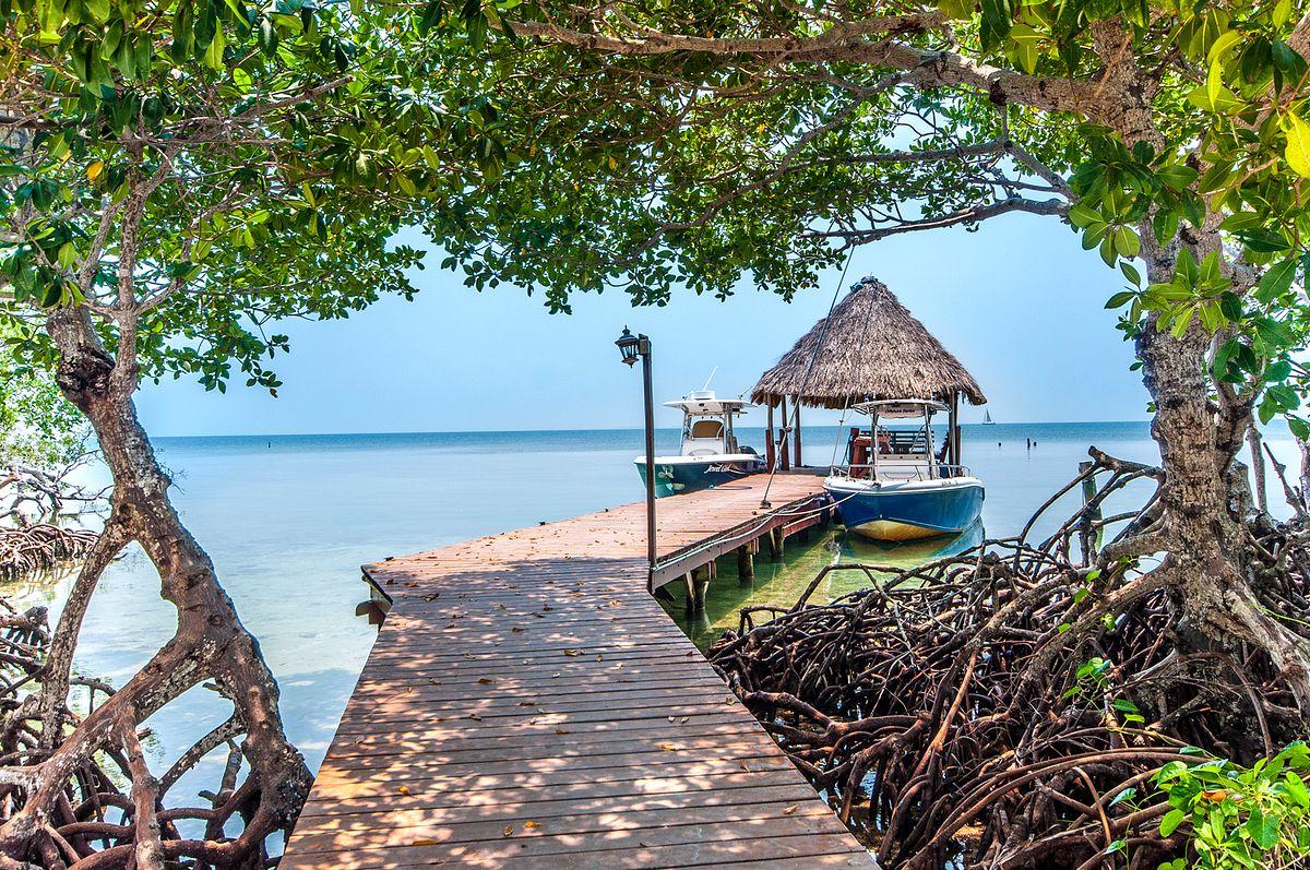 Jewel Caye image