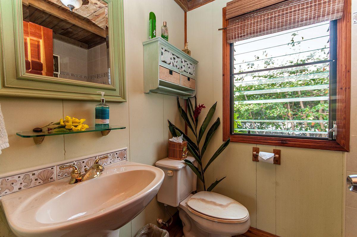Jewel Caye image