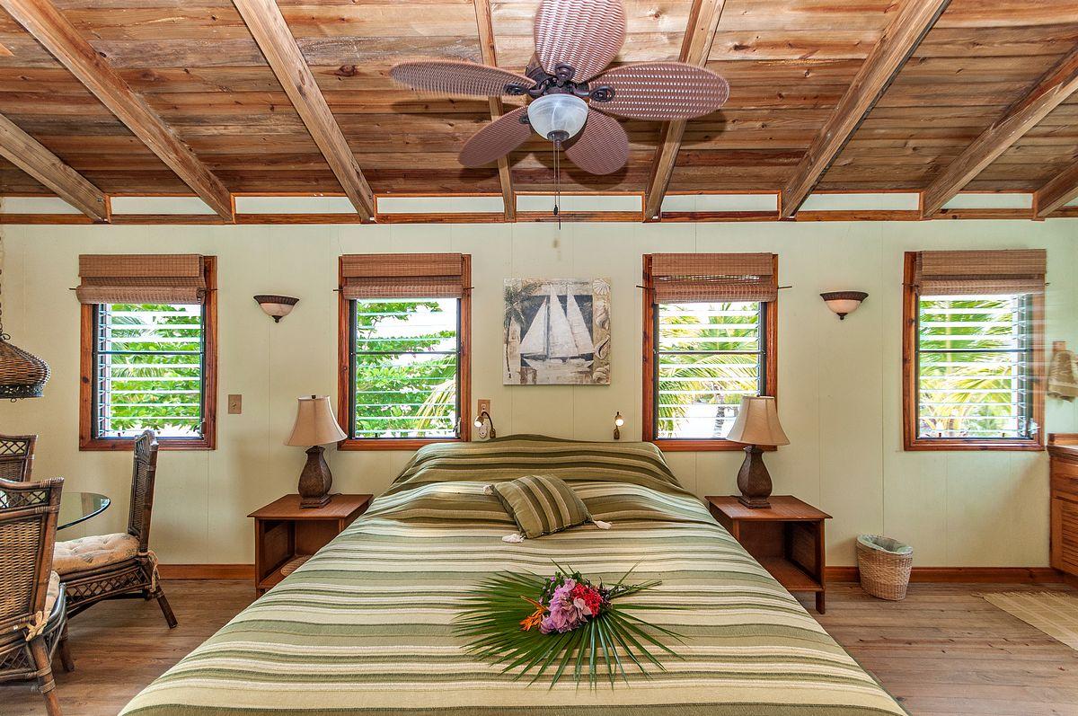 Jewel Caye image