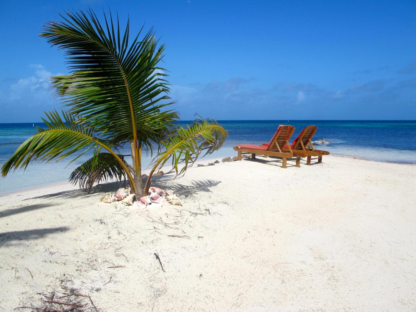 Ray Caye image