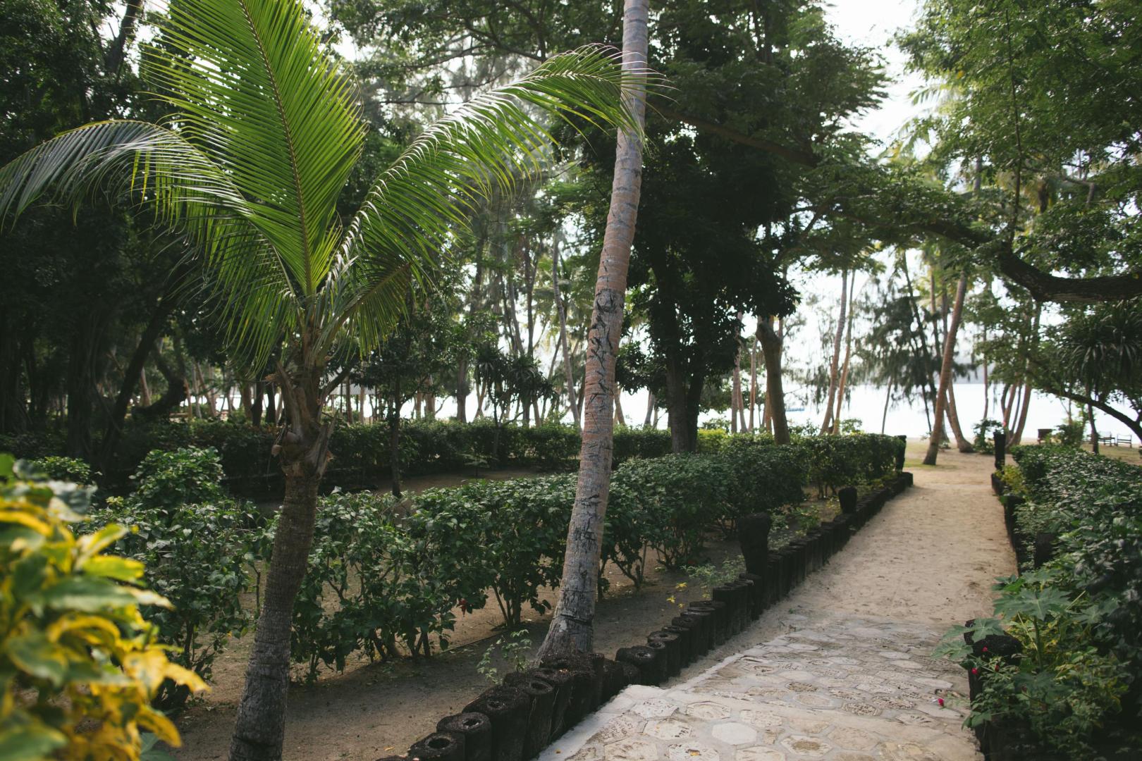 Turtle Island image