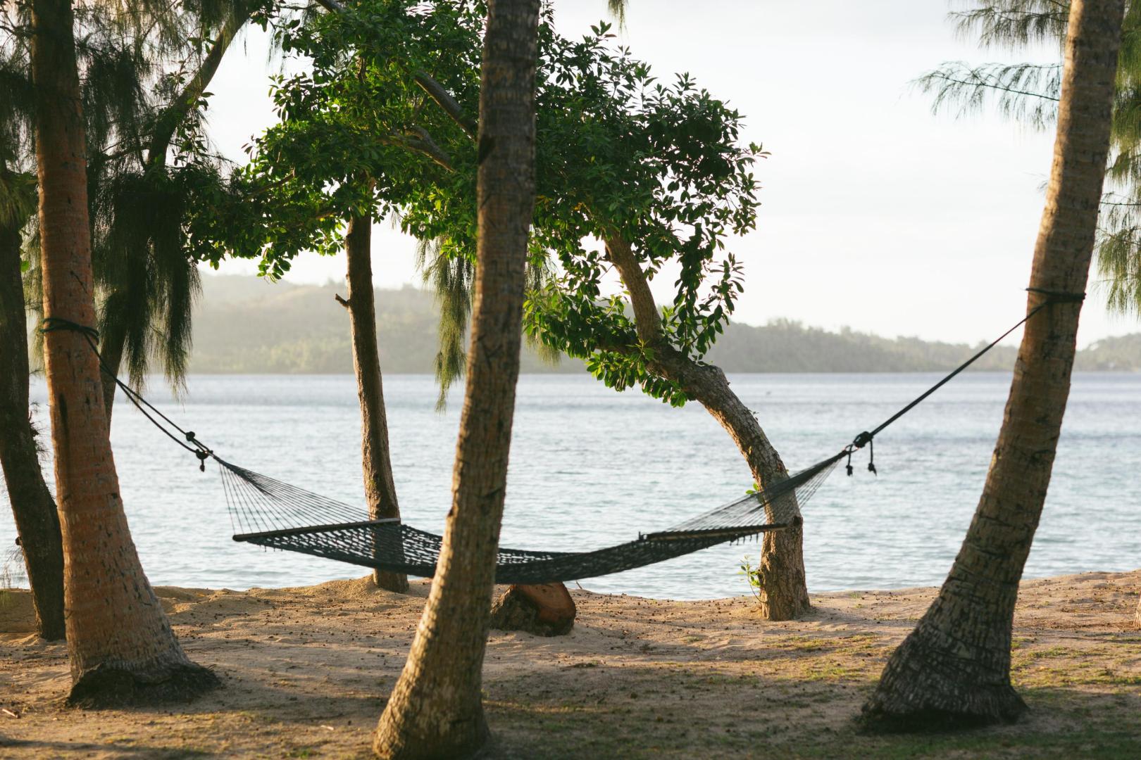 Turtle Island image