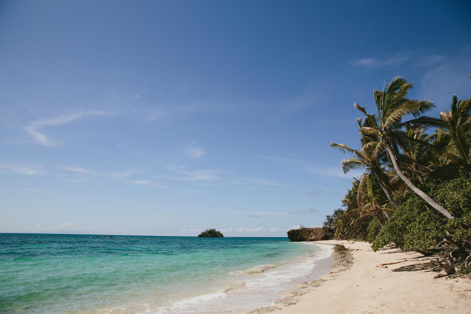 Turtle Island image