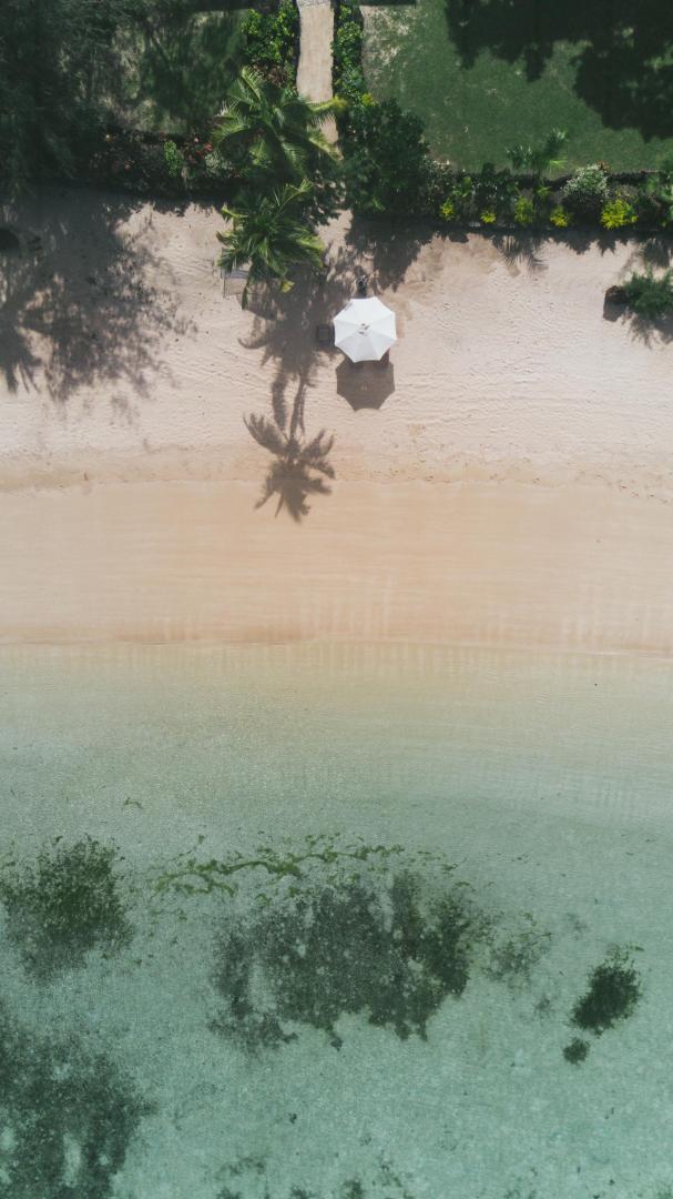 Turtle Island image
