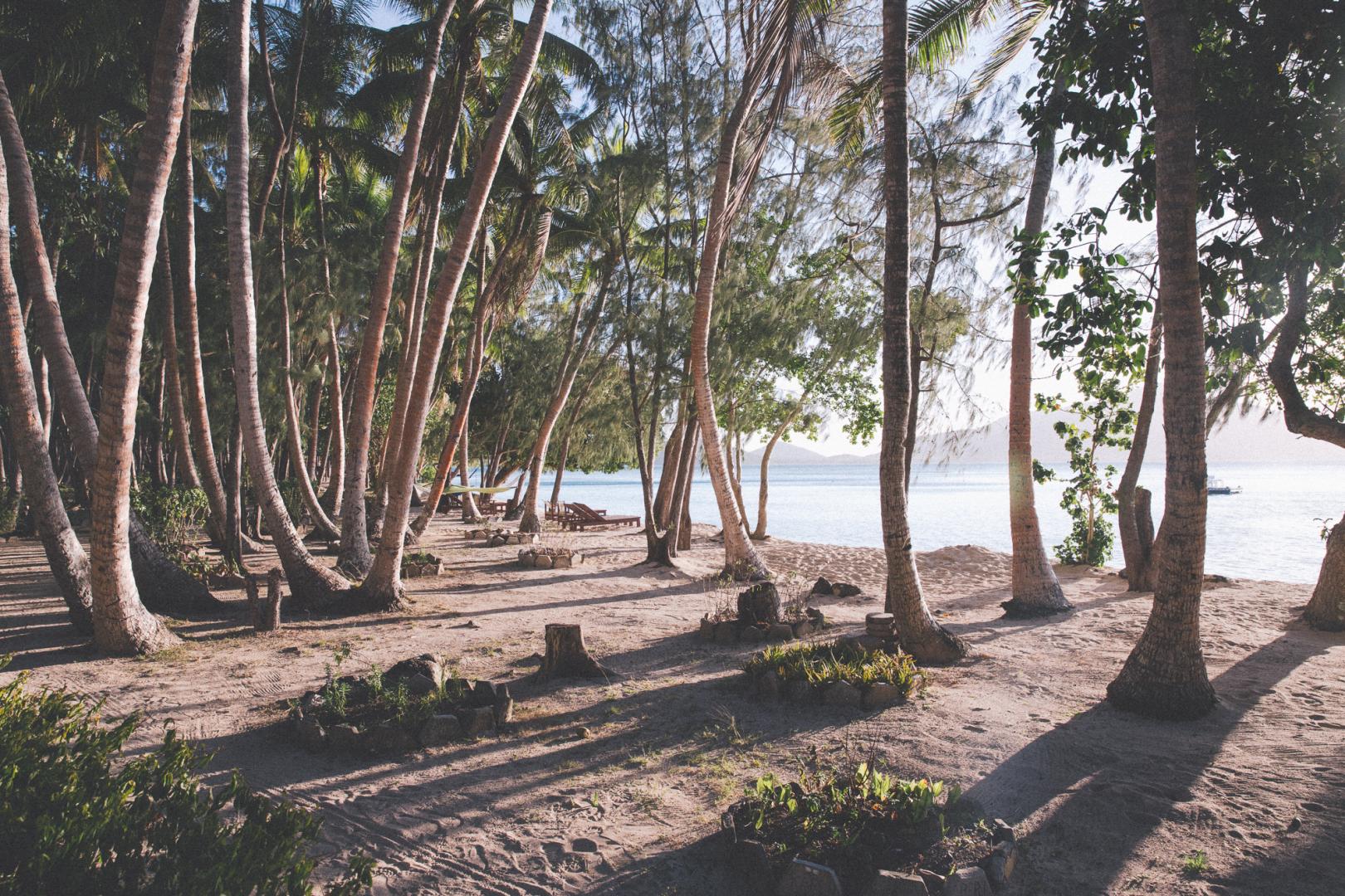 Turtle Island image