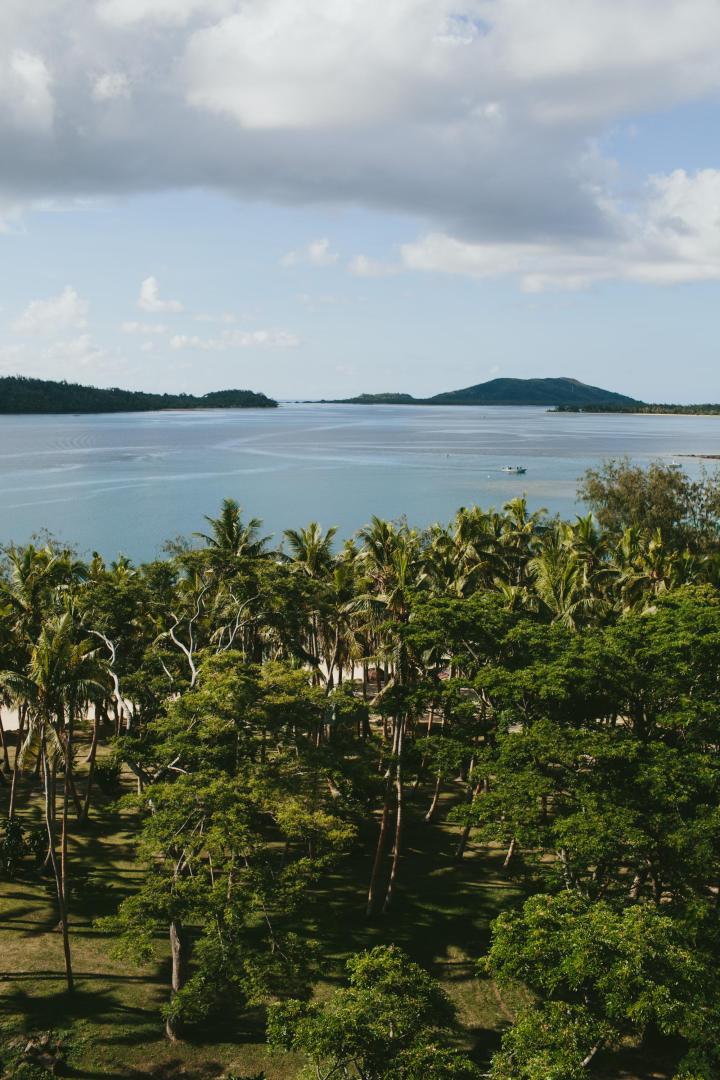 Turtle Island image