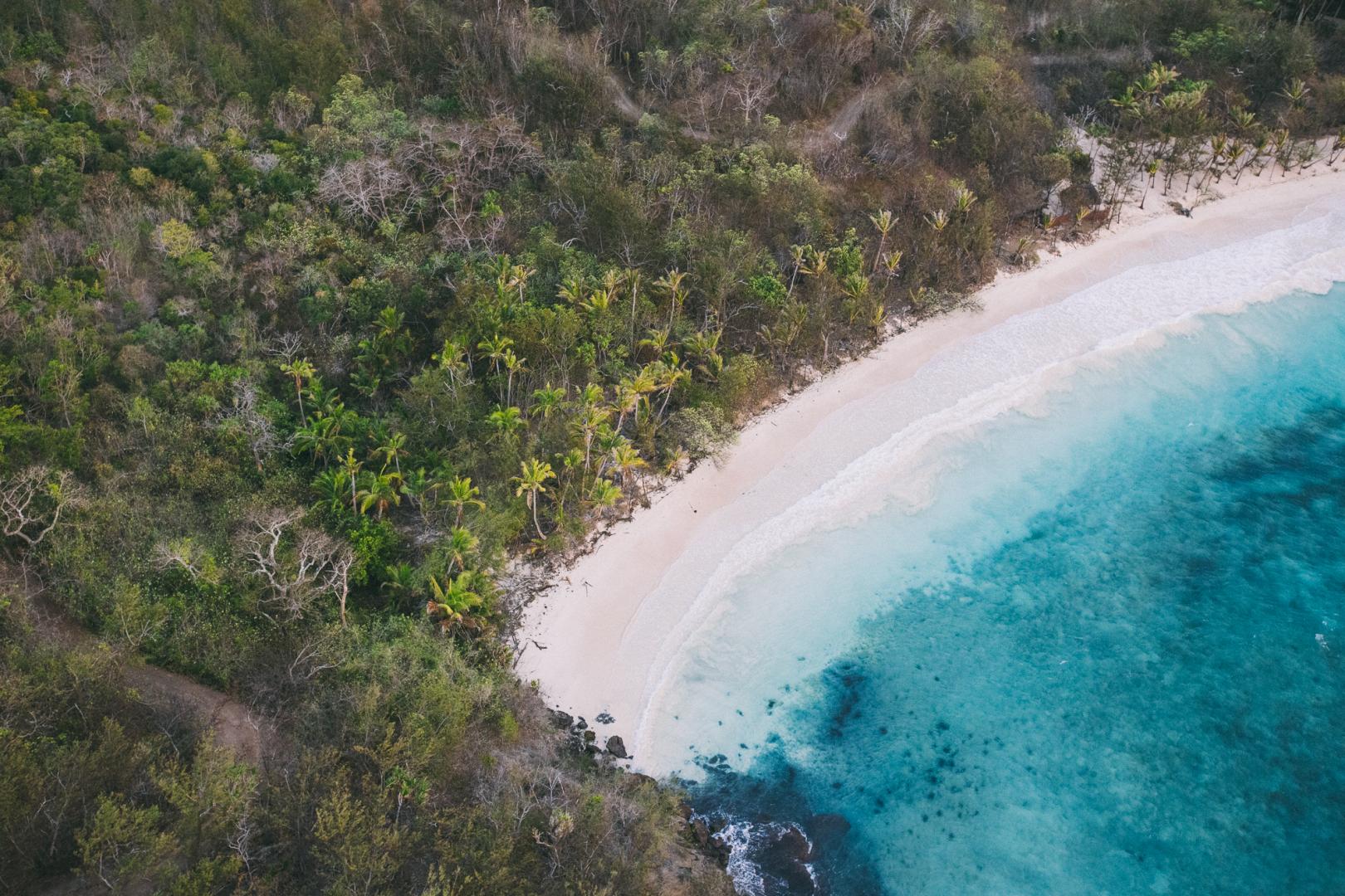 Turtle Island image