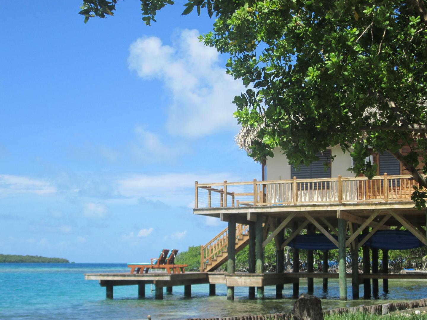 Little Peter Oasis image