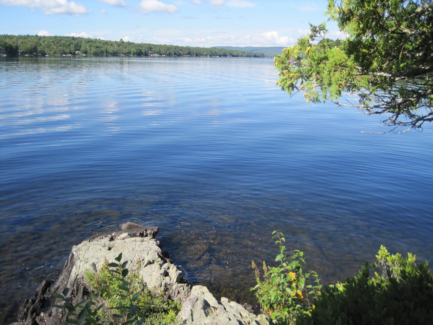 Phoebe Island image