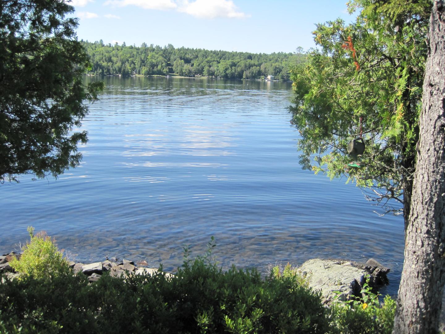 Phoebe Island image