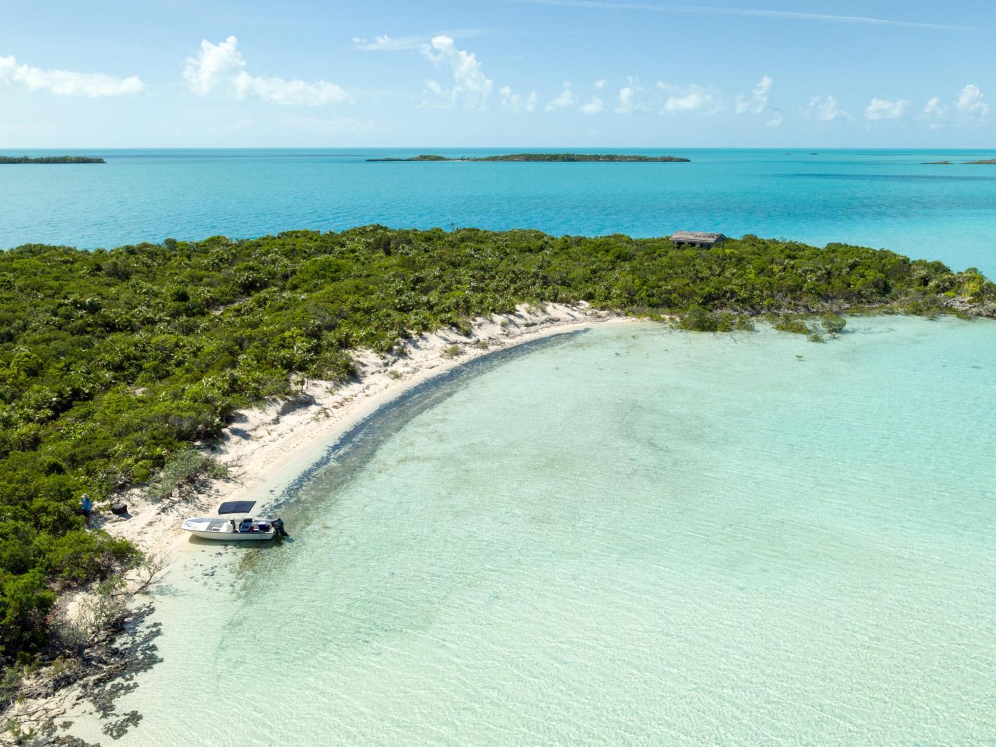 Jim Cay image
