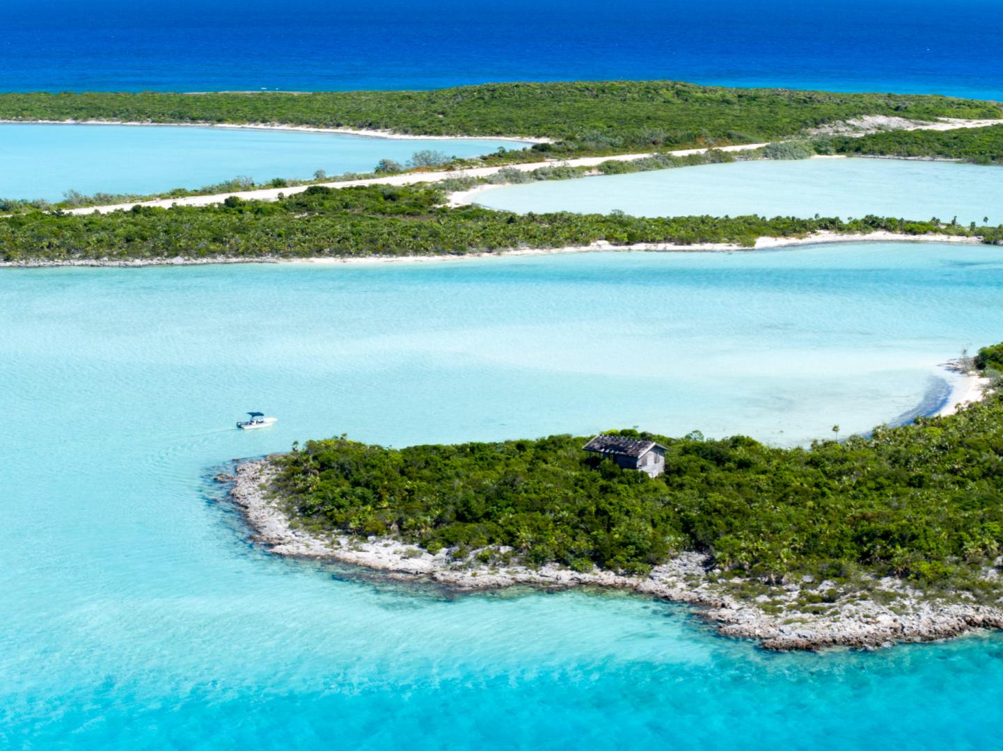 Jim Cay image