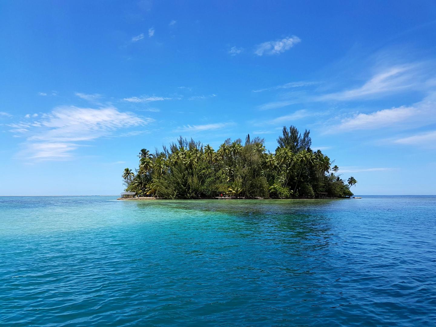 Motu Mapeti image
