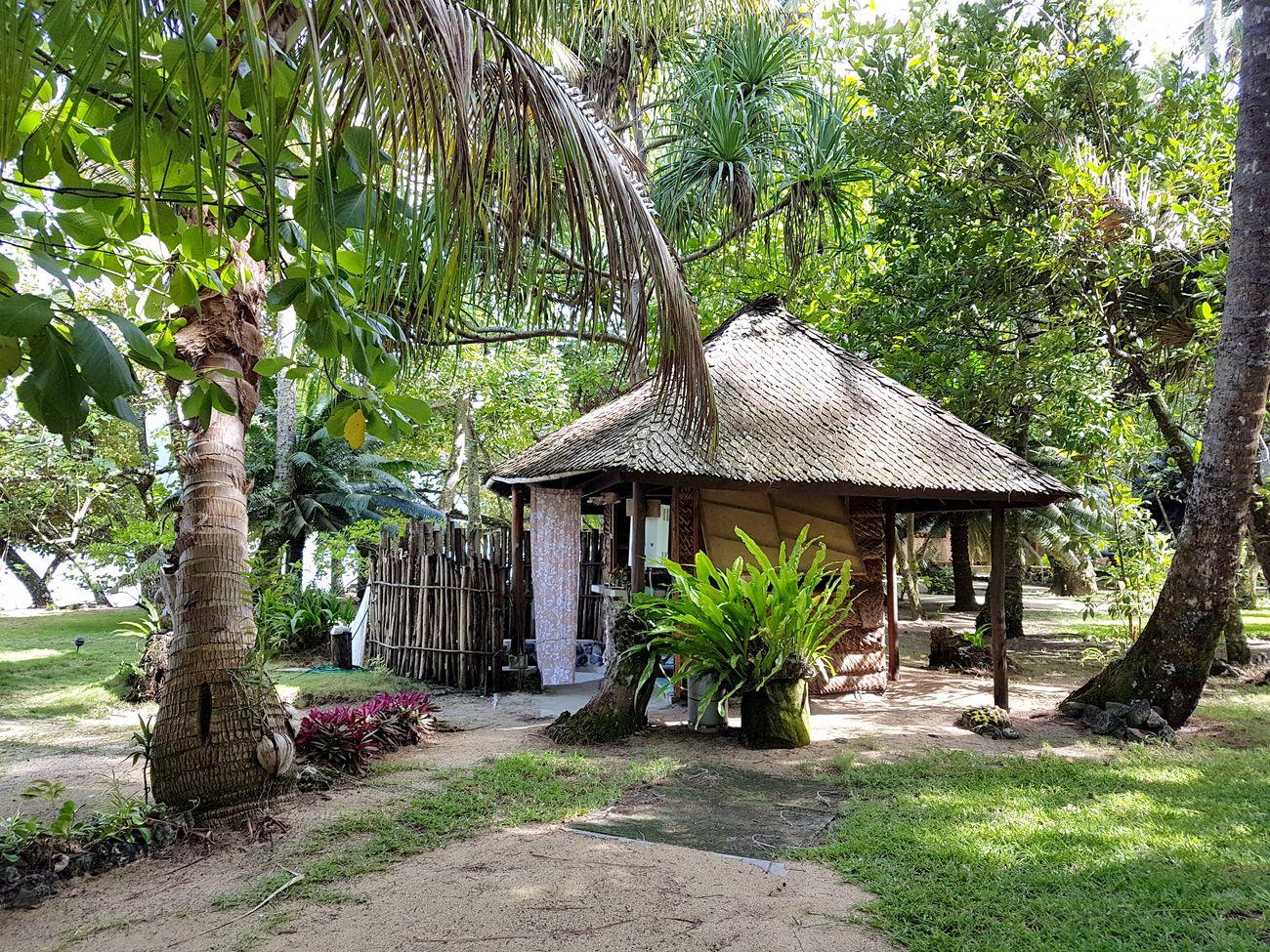 Motu Mapeti image