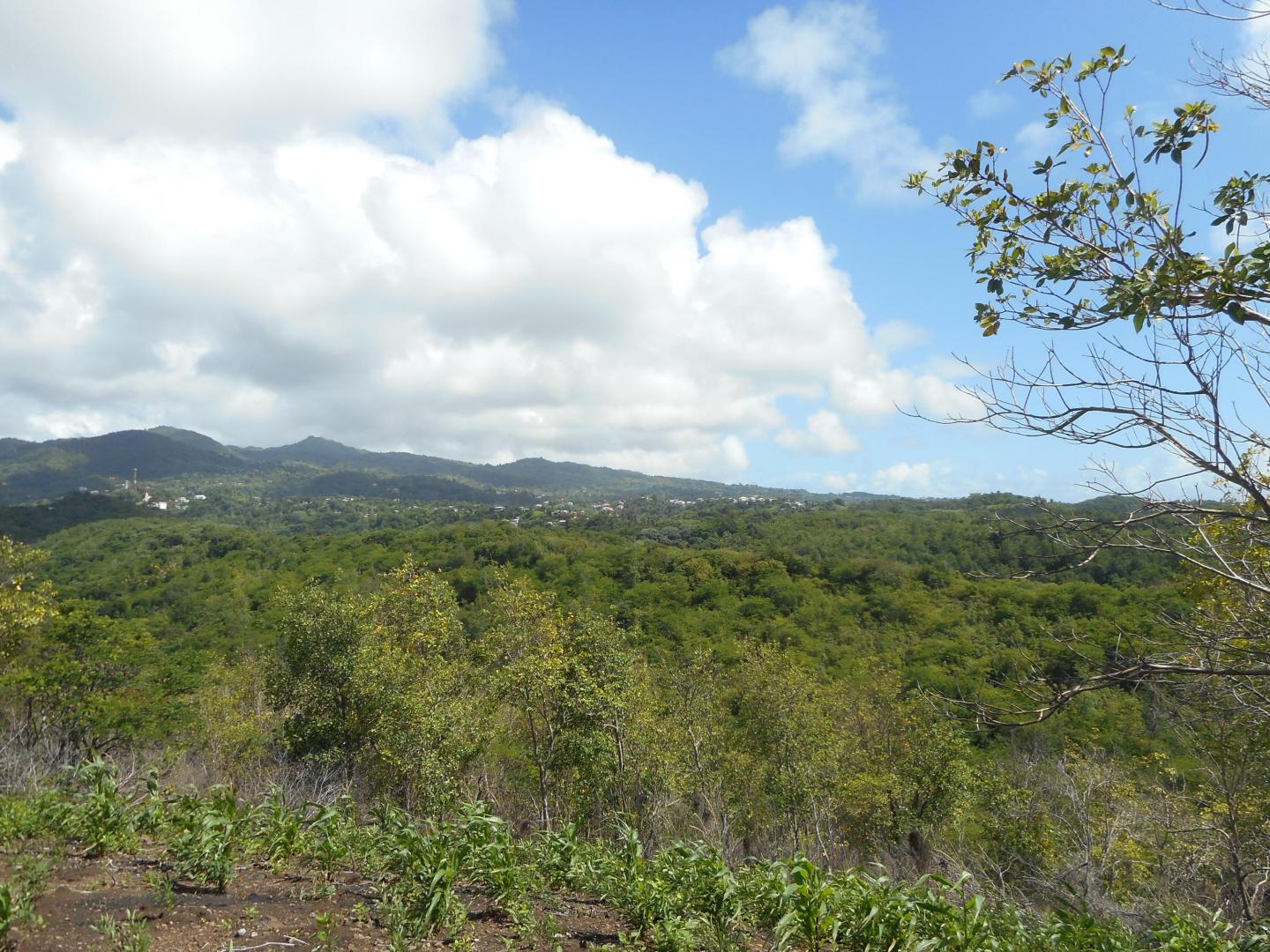 Petit Trou Peninsula image