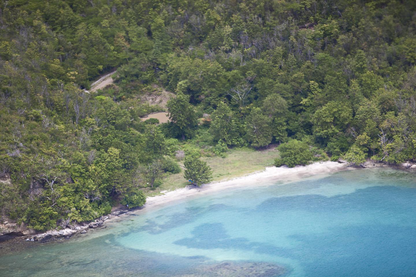 Petit Trou Peninsula image