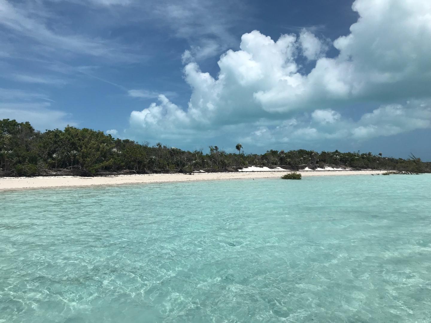 Big Bullard Cay image