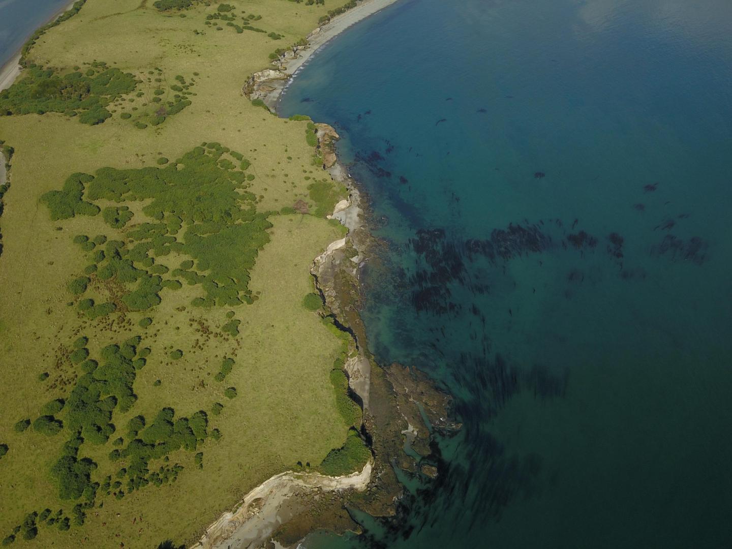 Isla Lacao image