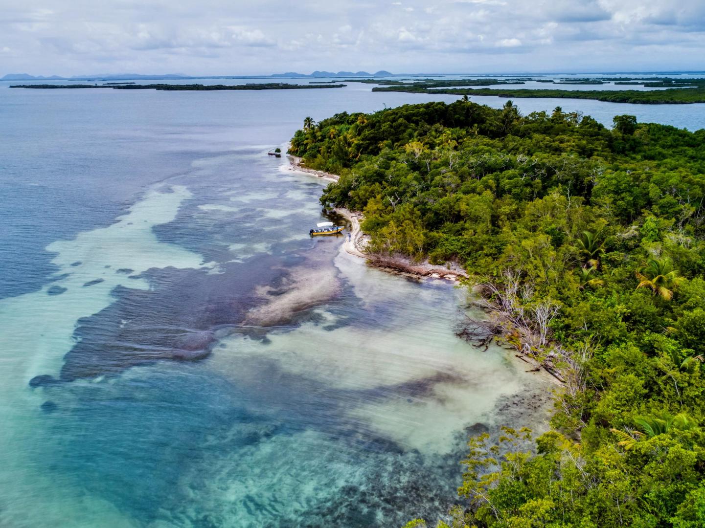 Rainforest Caye image