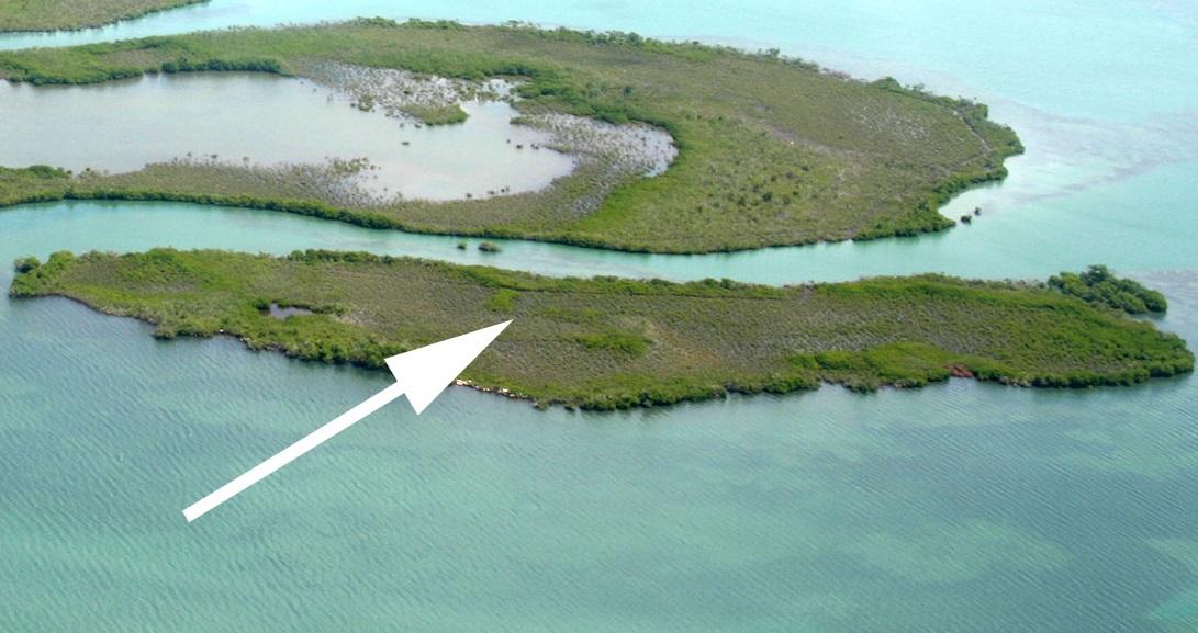 Cayo Theana image