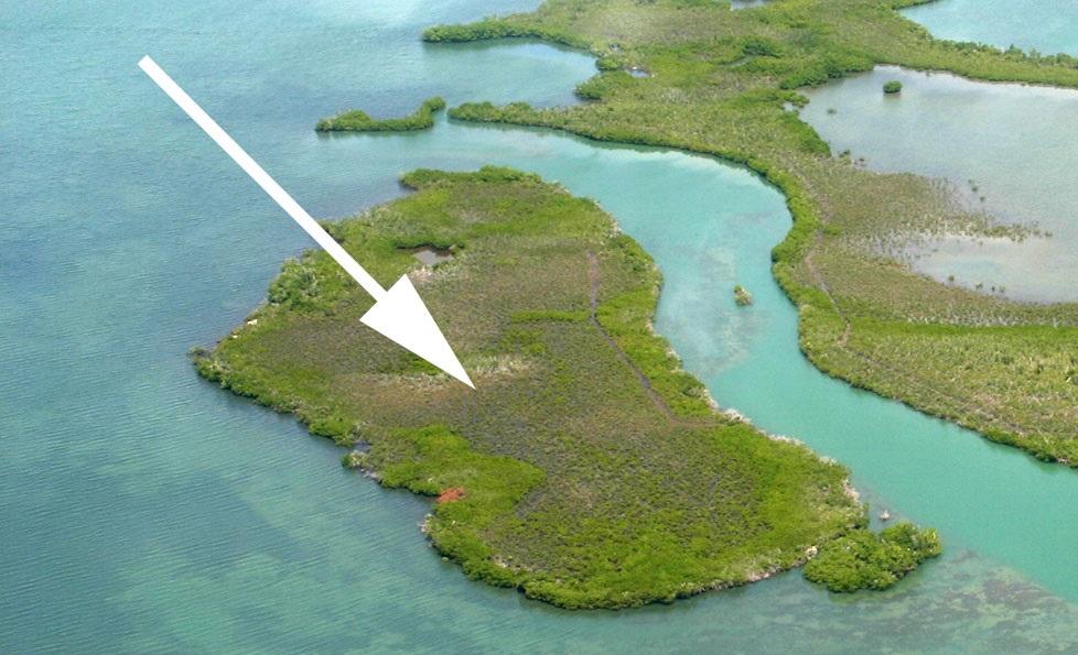Cayo Theana image