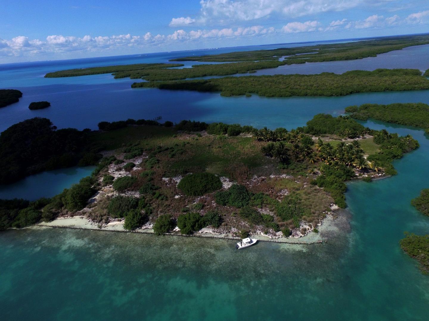 Manatee Caye image