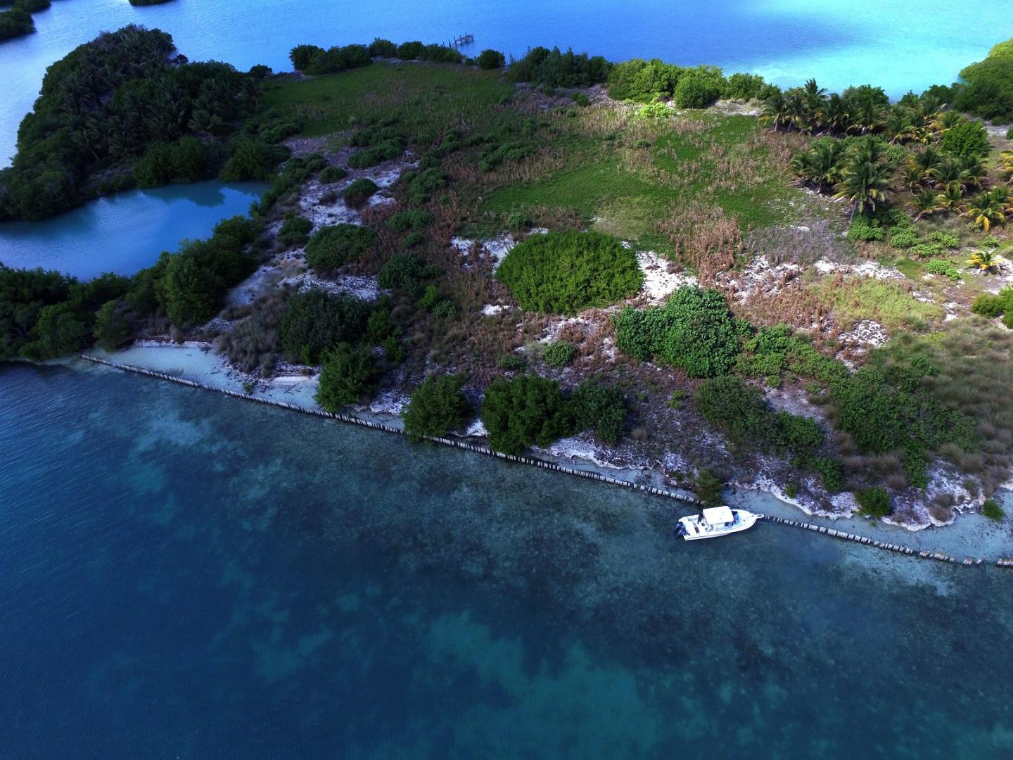 Manatee Caye image