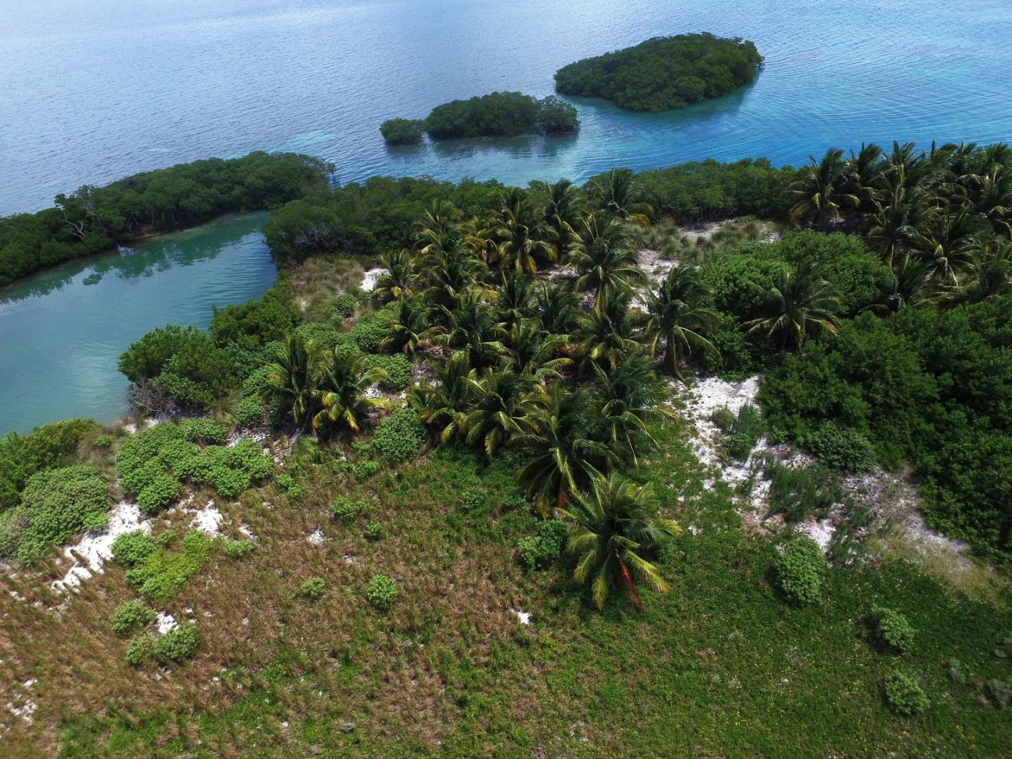 Manatee Caye image