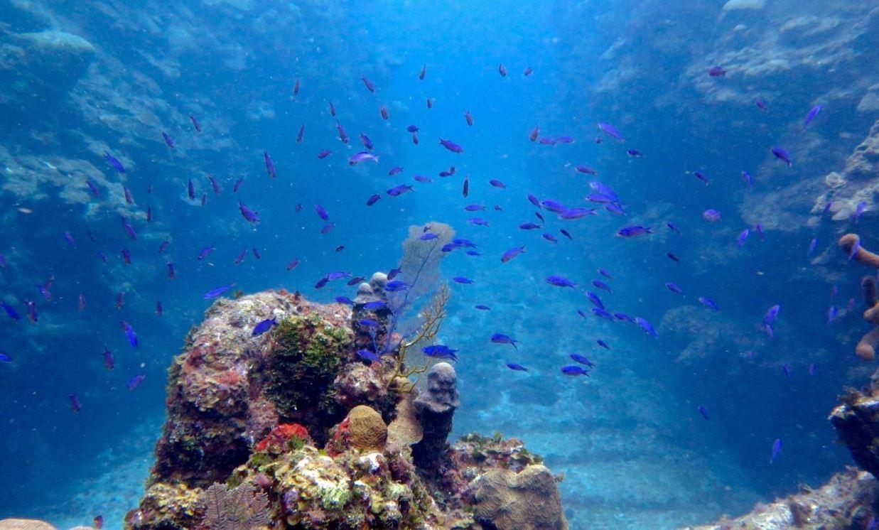 Fort Morgan Cay image
