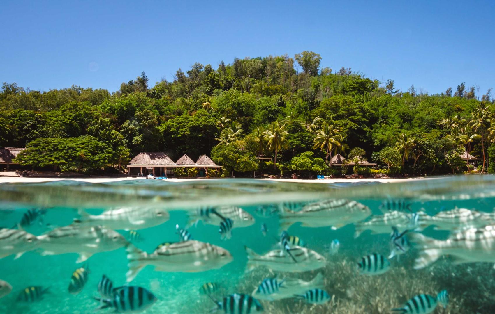 Turtle Island image
