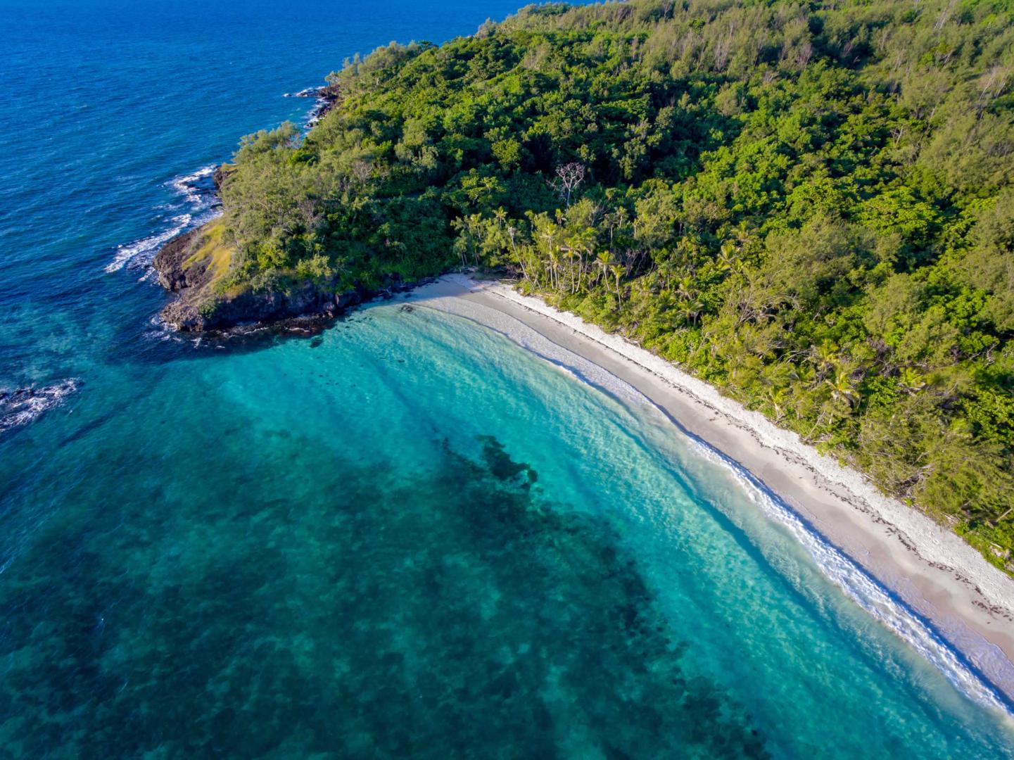 Turtle Island image