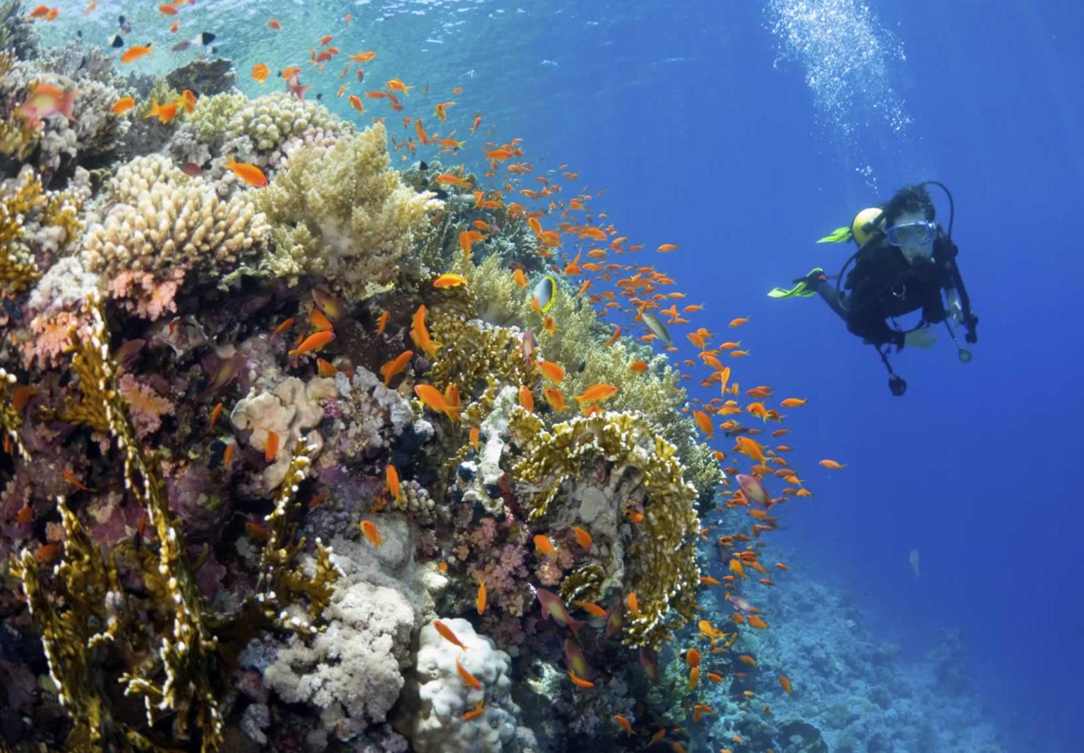 Yasawa Island Resort and Spa image