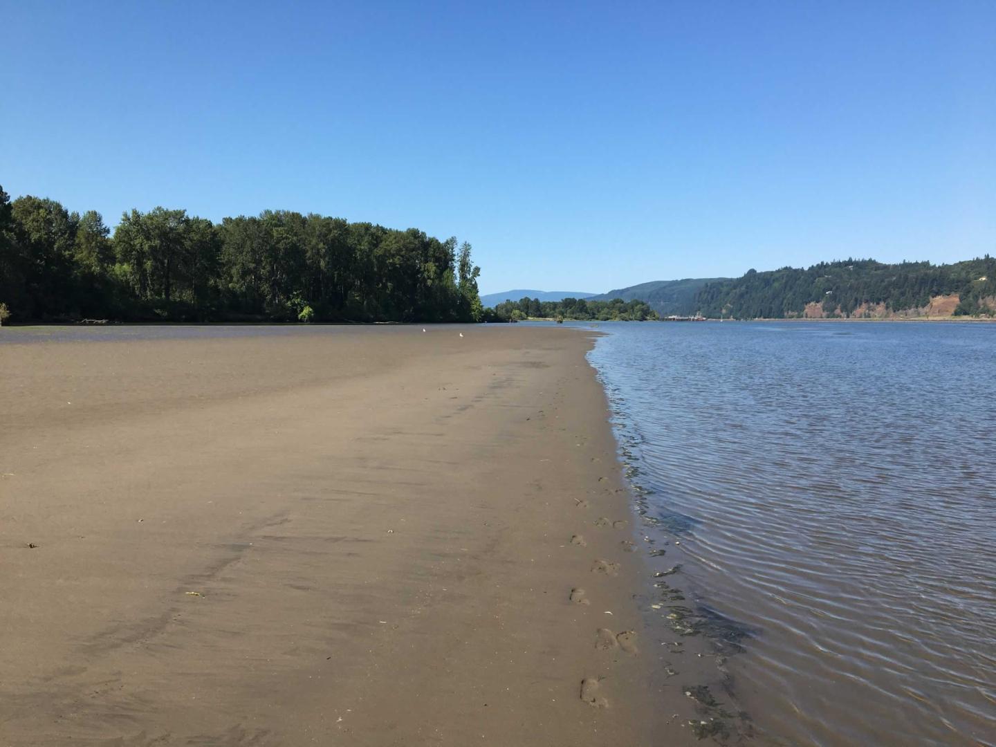 Gull Island, Oregon image