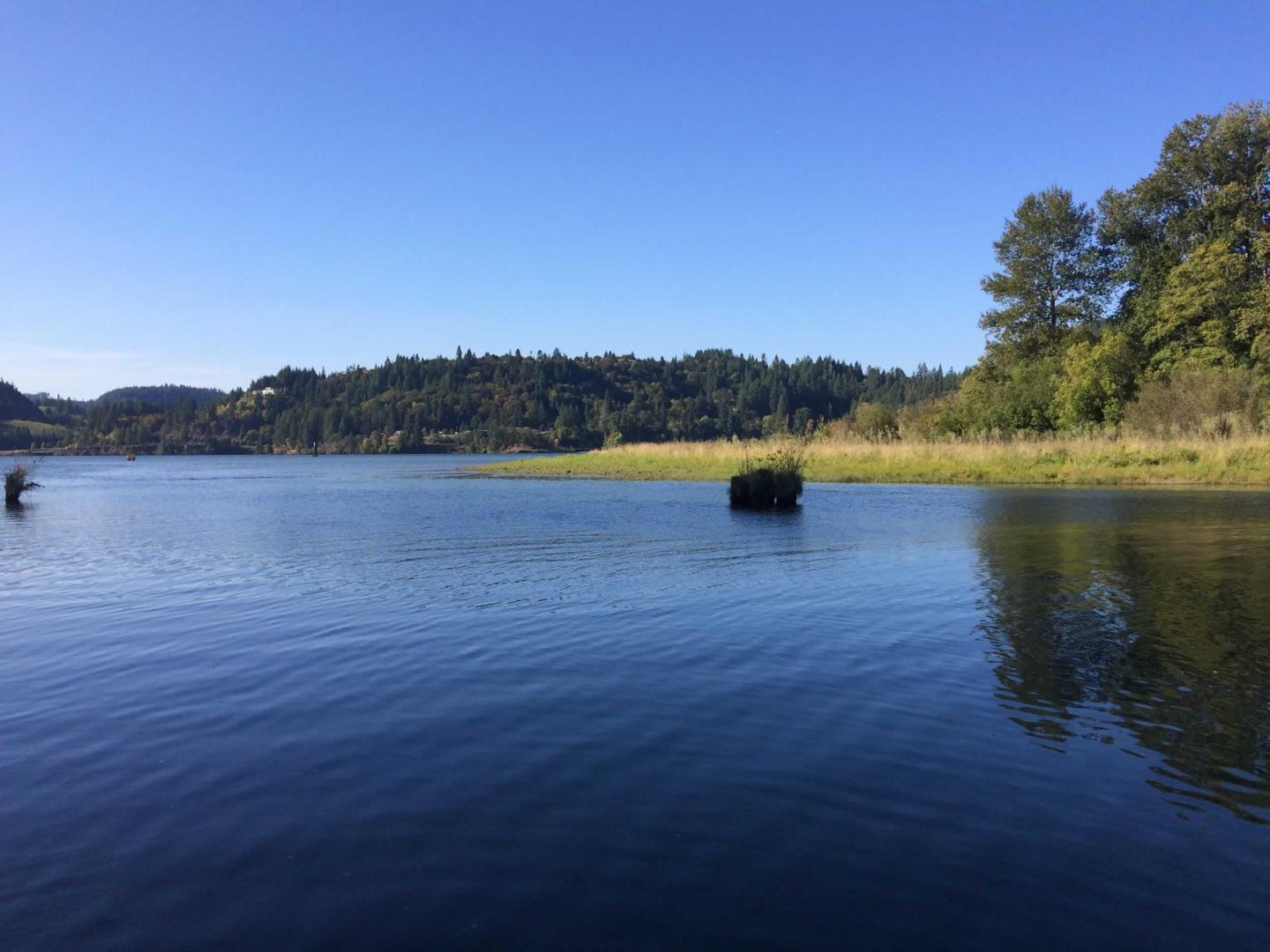 Gull Island, Oregon image