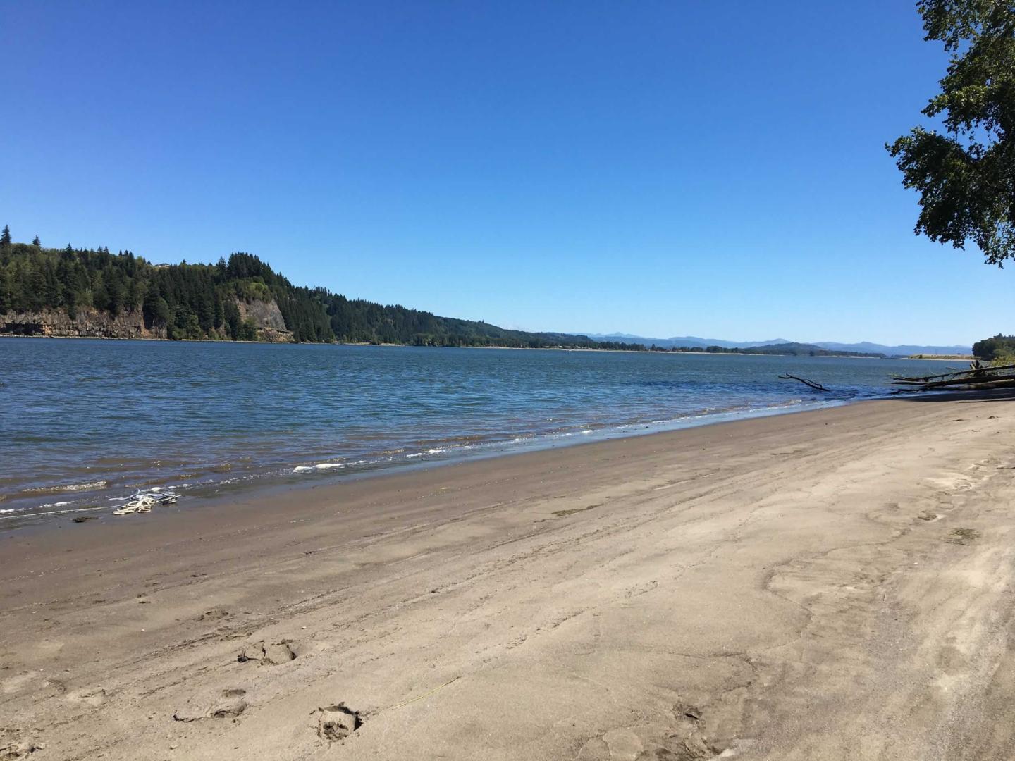 Gull Island, Oregon image