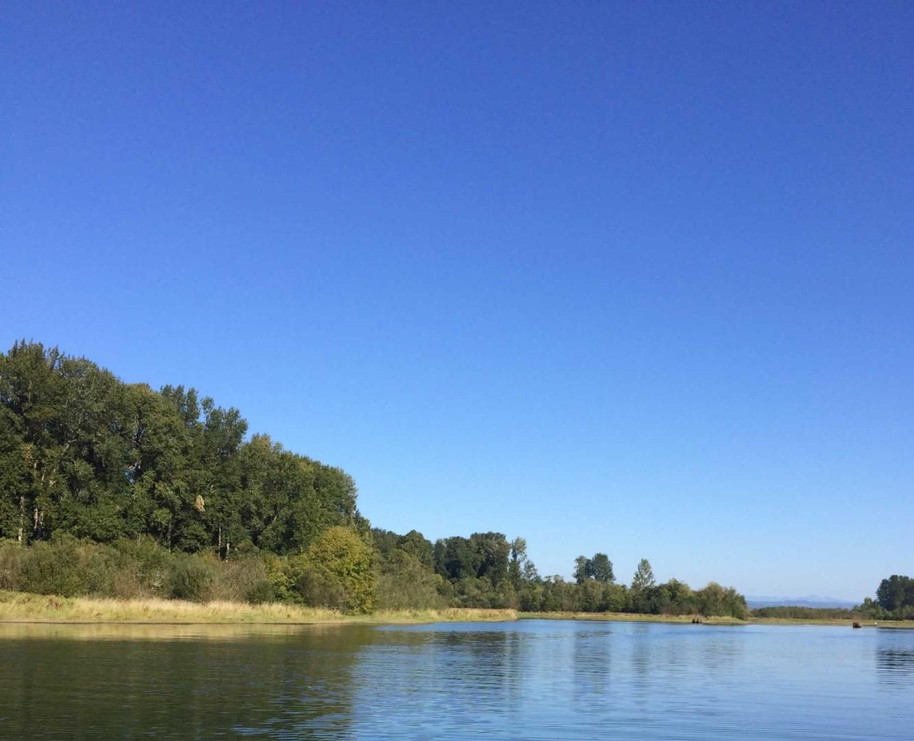 Gull Island, Oregon image