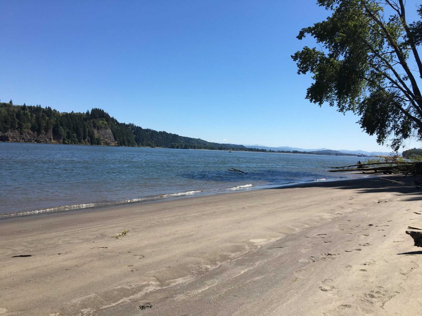 Gull Island, Oregon image
