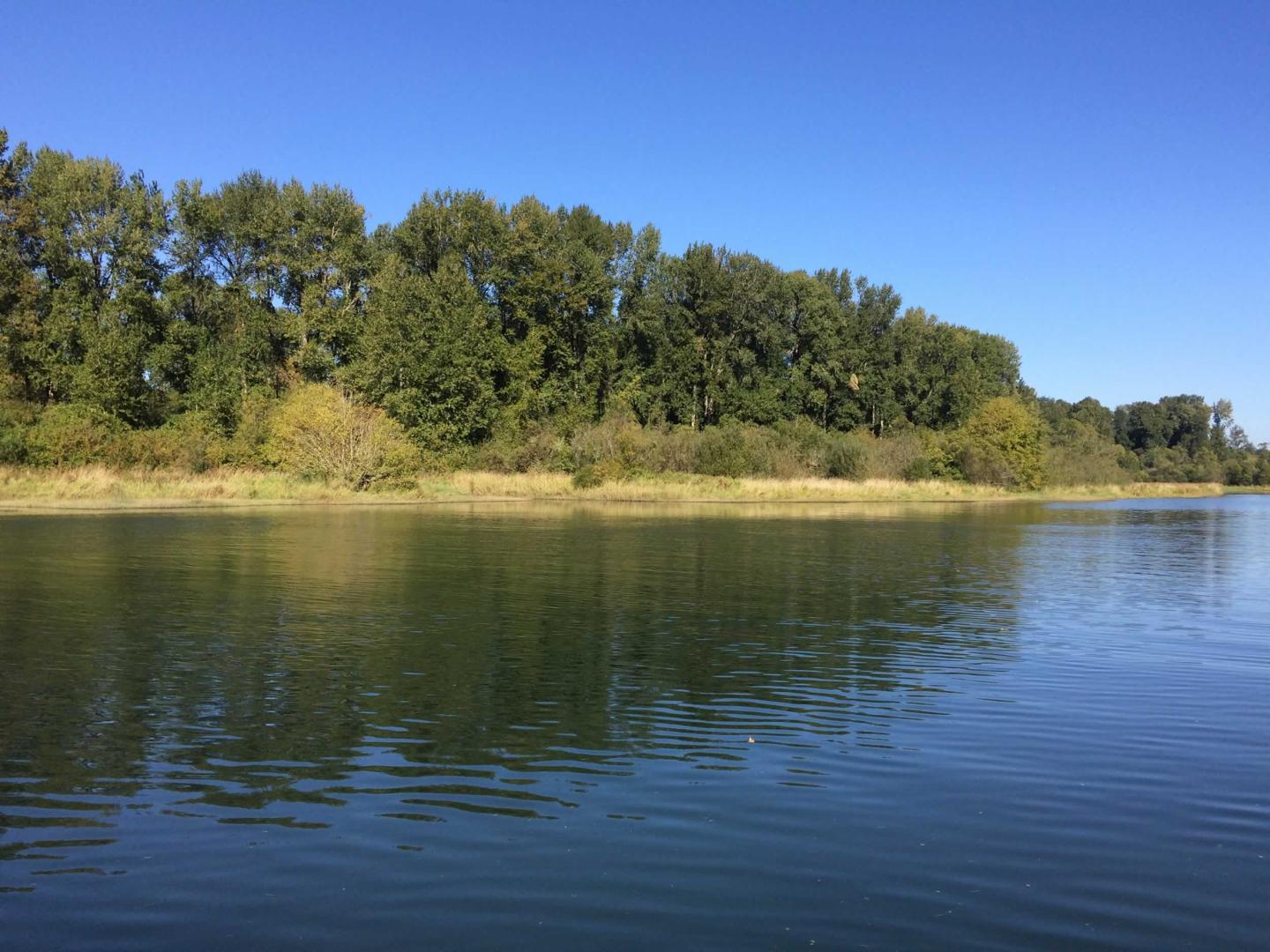 Gull Island, Oregon image