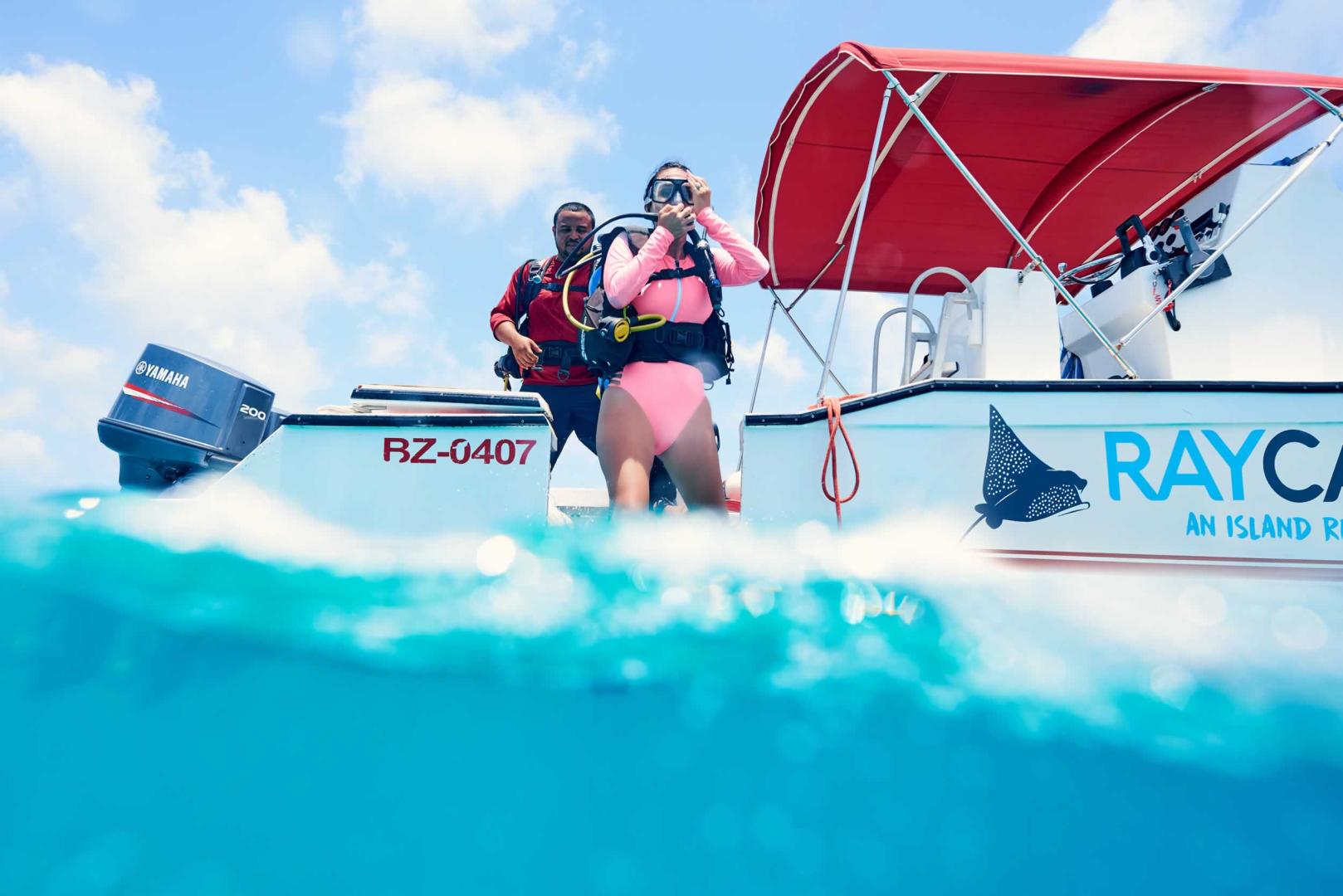 Ray Caye image