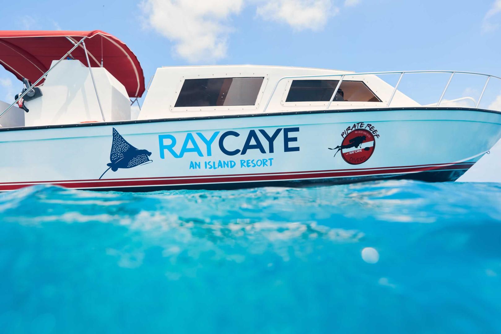 Ray Caye image
