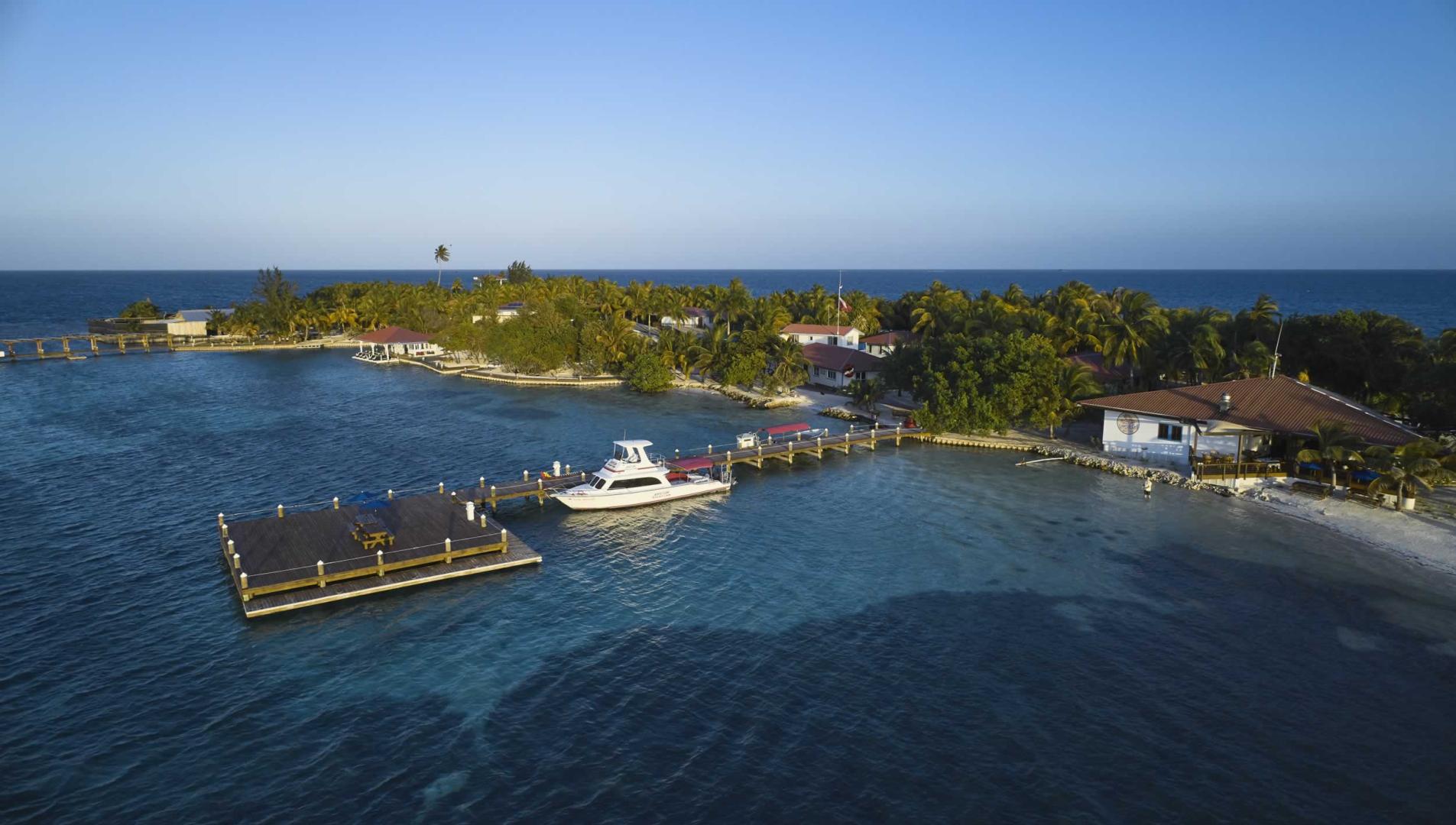 Ray Caye image