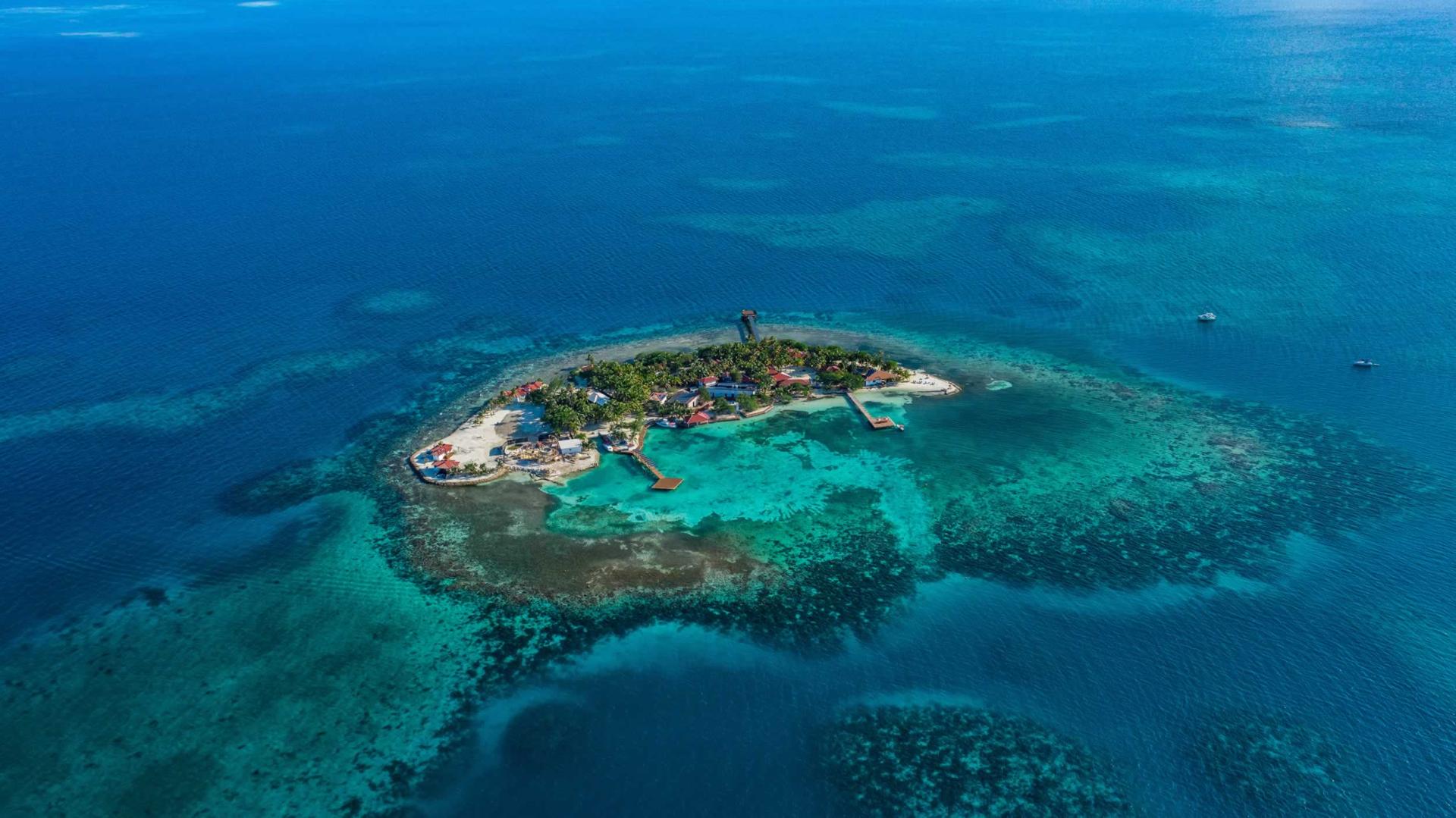 Ray Caye image