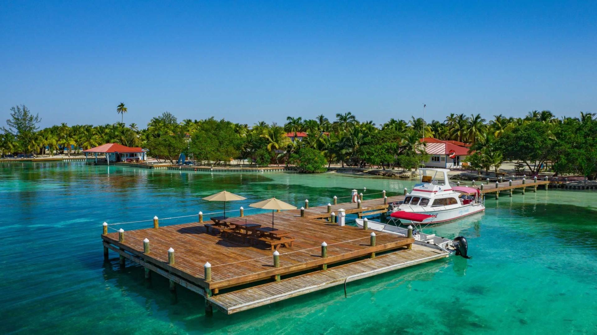 Ray Caye image