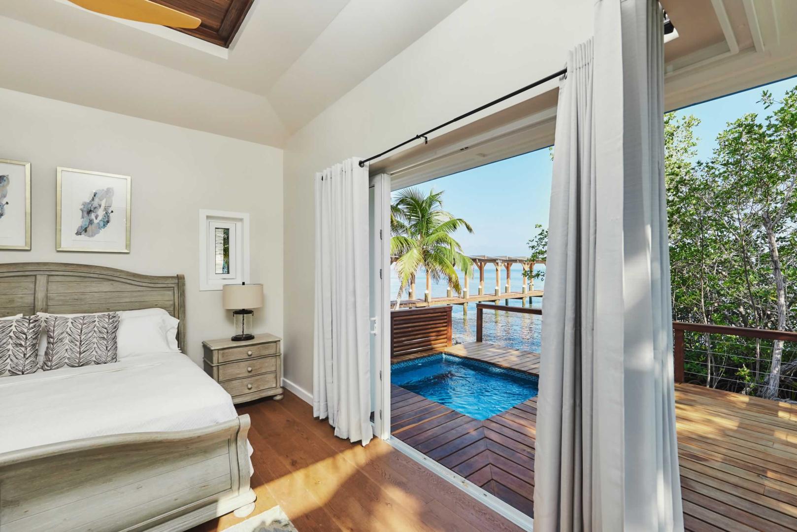 Ray Caye image