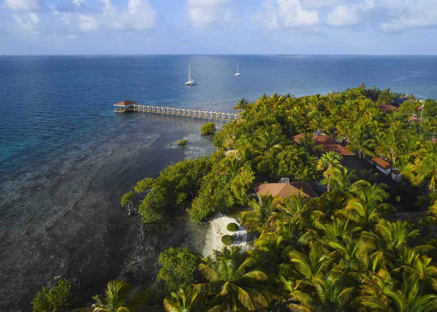 Ray Caye image