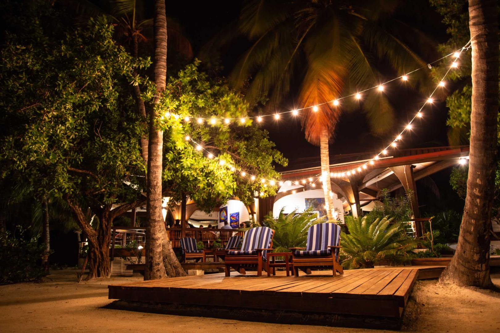 Ray Caye image