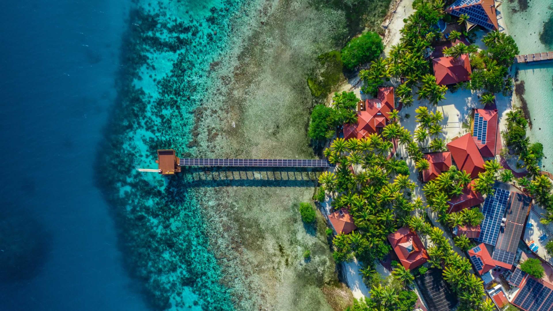 Ray Caye image